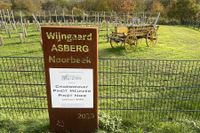 Wijngaard Asberg Noorbeek